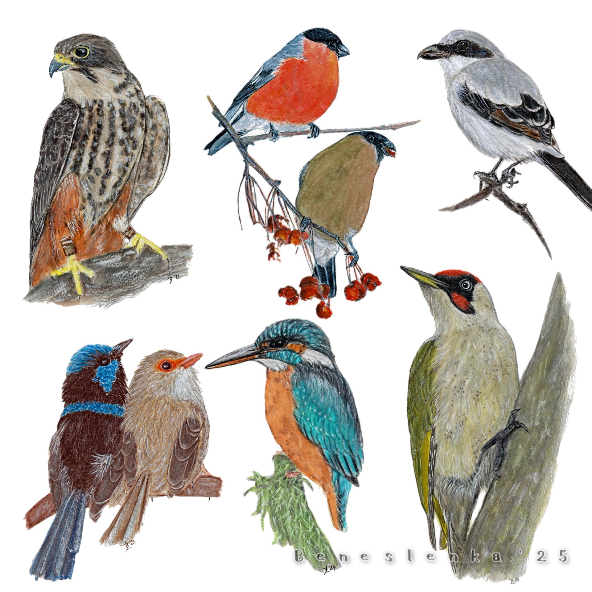 34. páteční report 2025