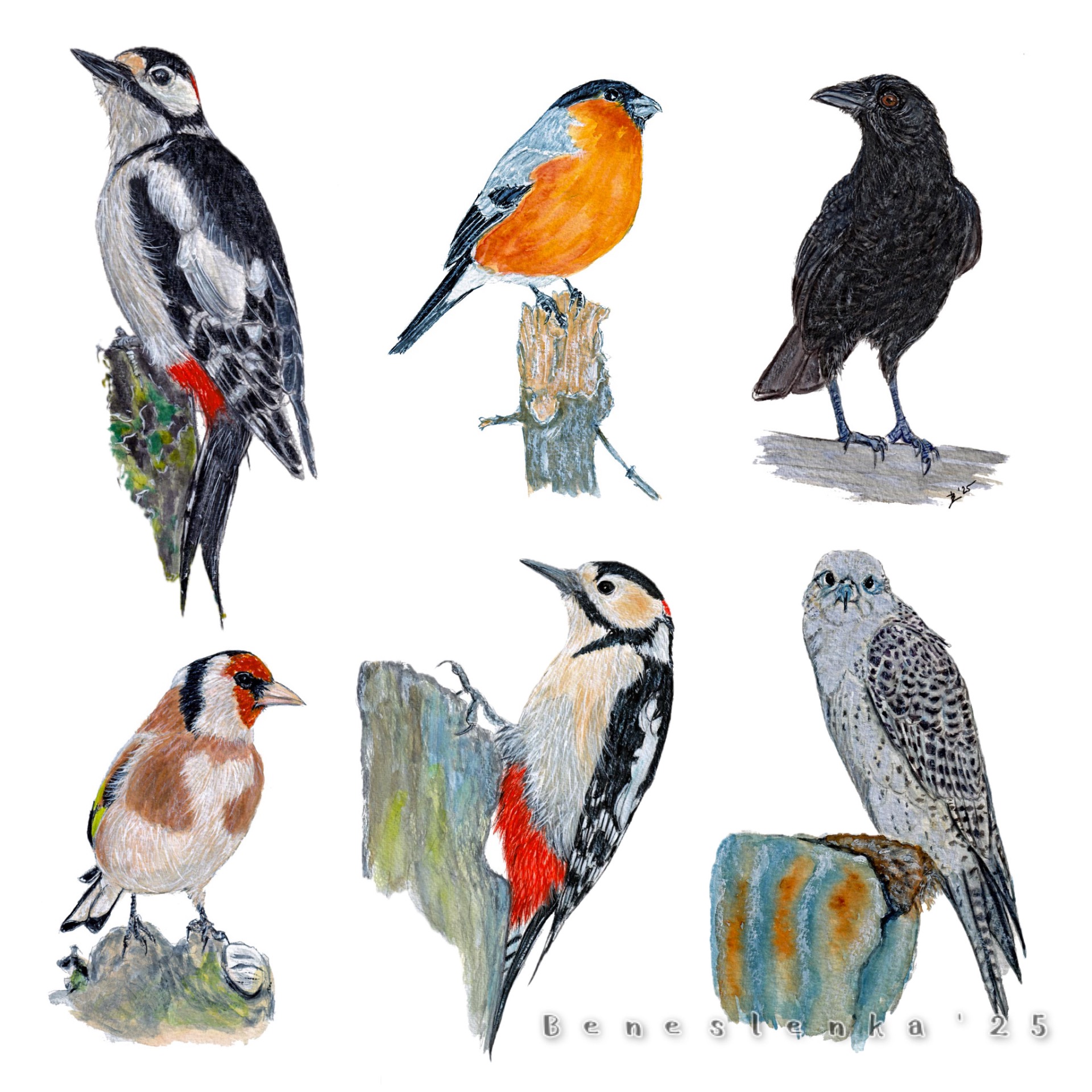 35. páteční report 2025