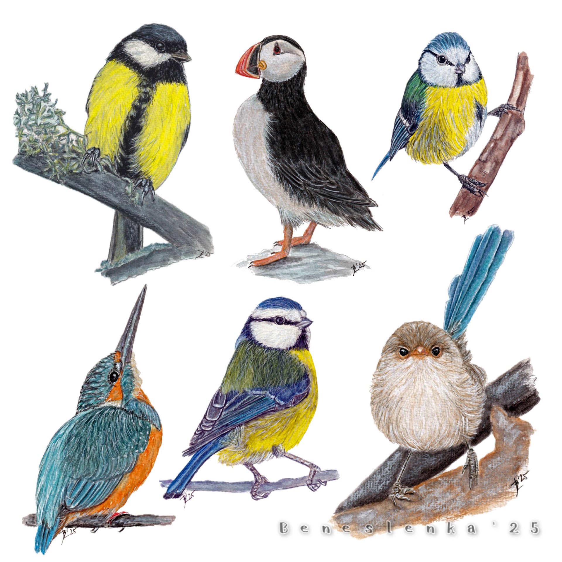 37. páteční report 2025