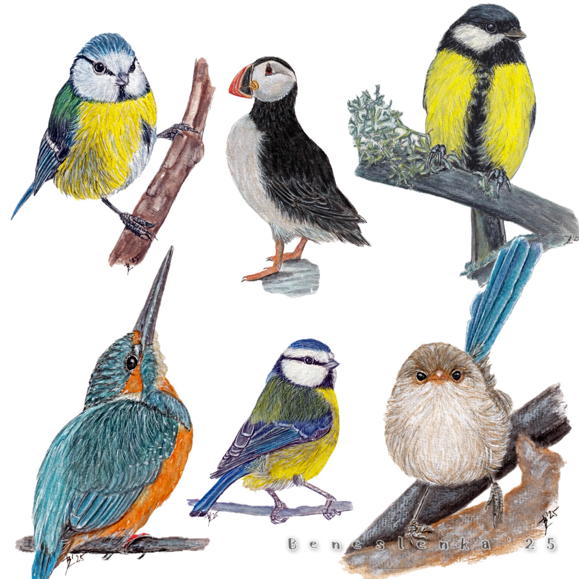 39. páteční report 2025