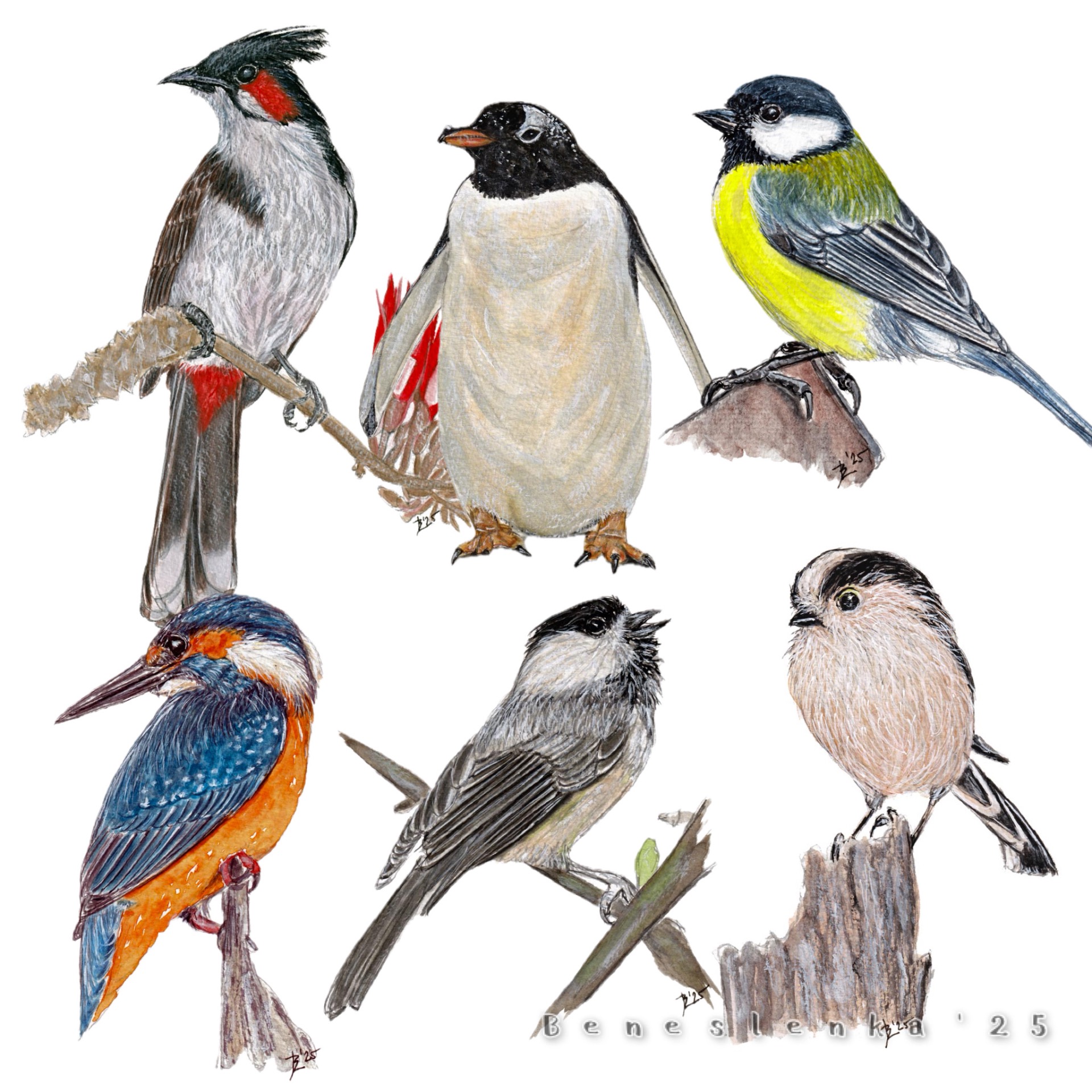 40. páteční report 2025