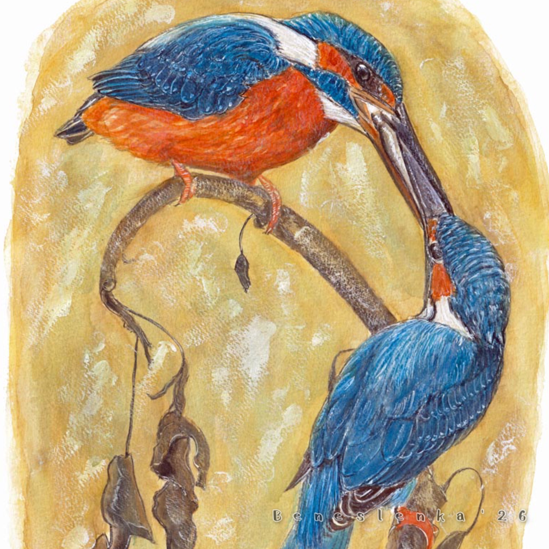 1. páteční report 2026