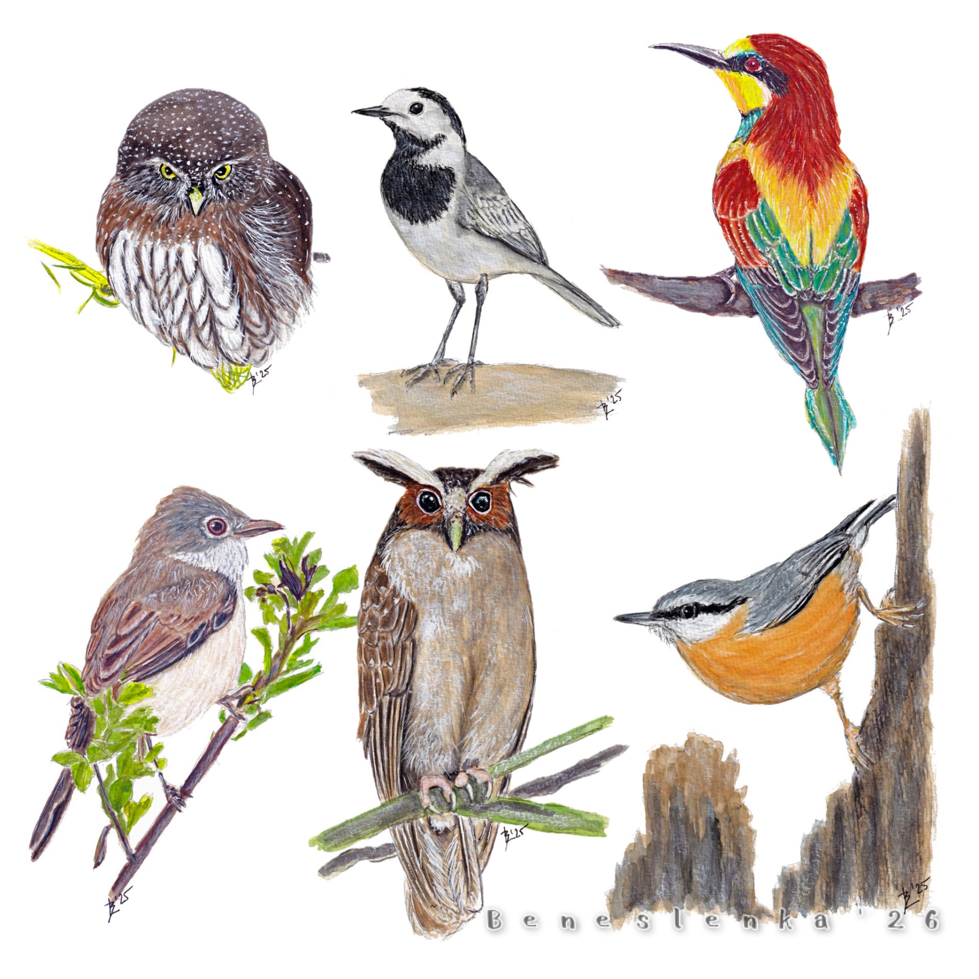 2. páteční report 2026