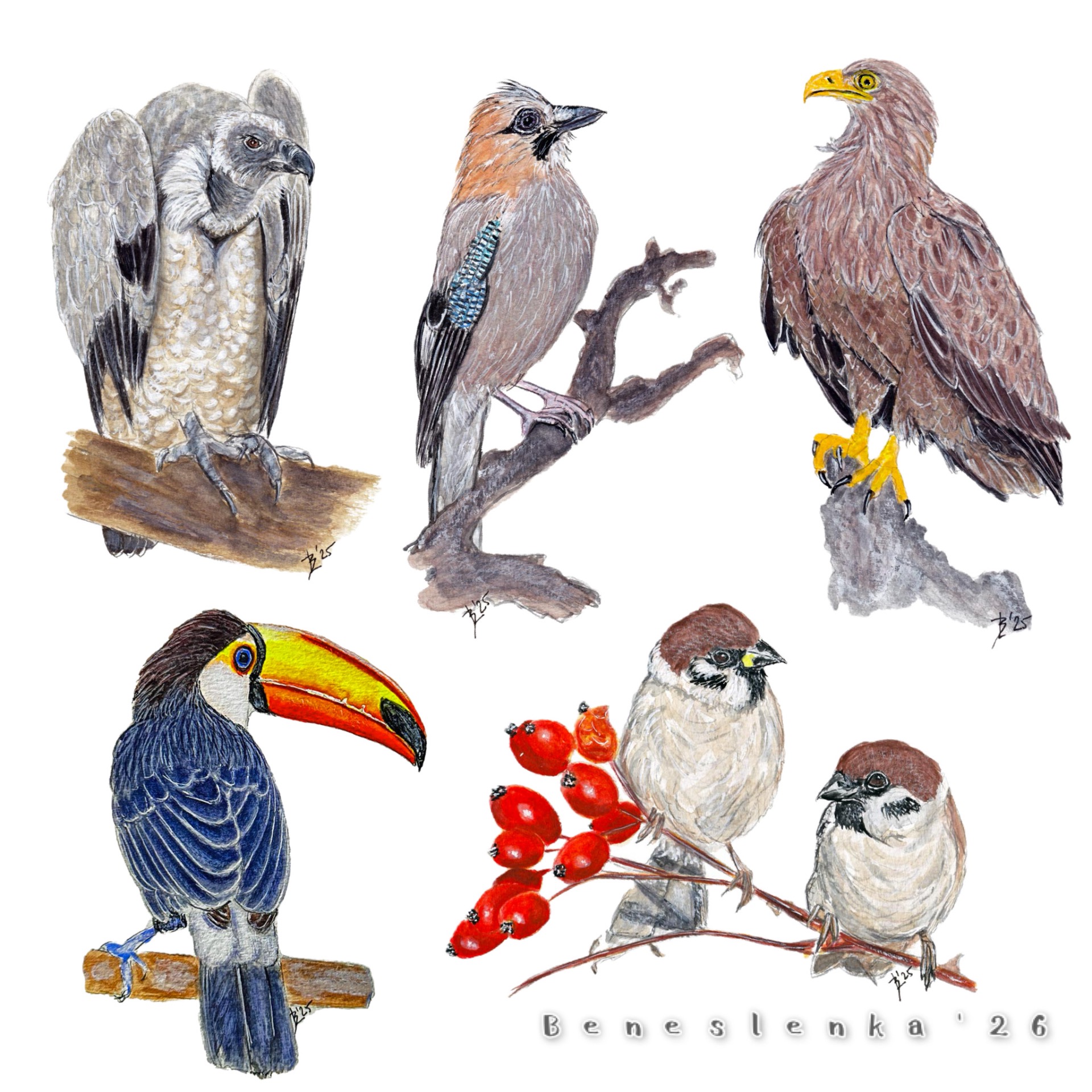 8. páteční report 2026