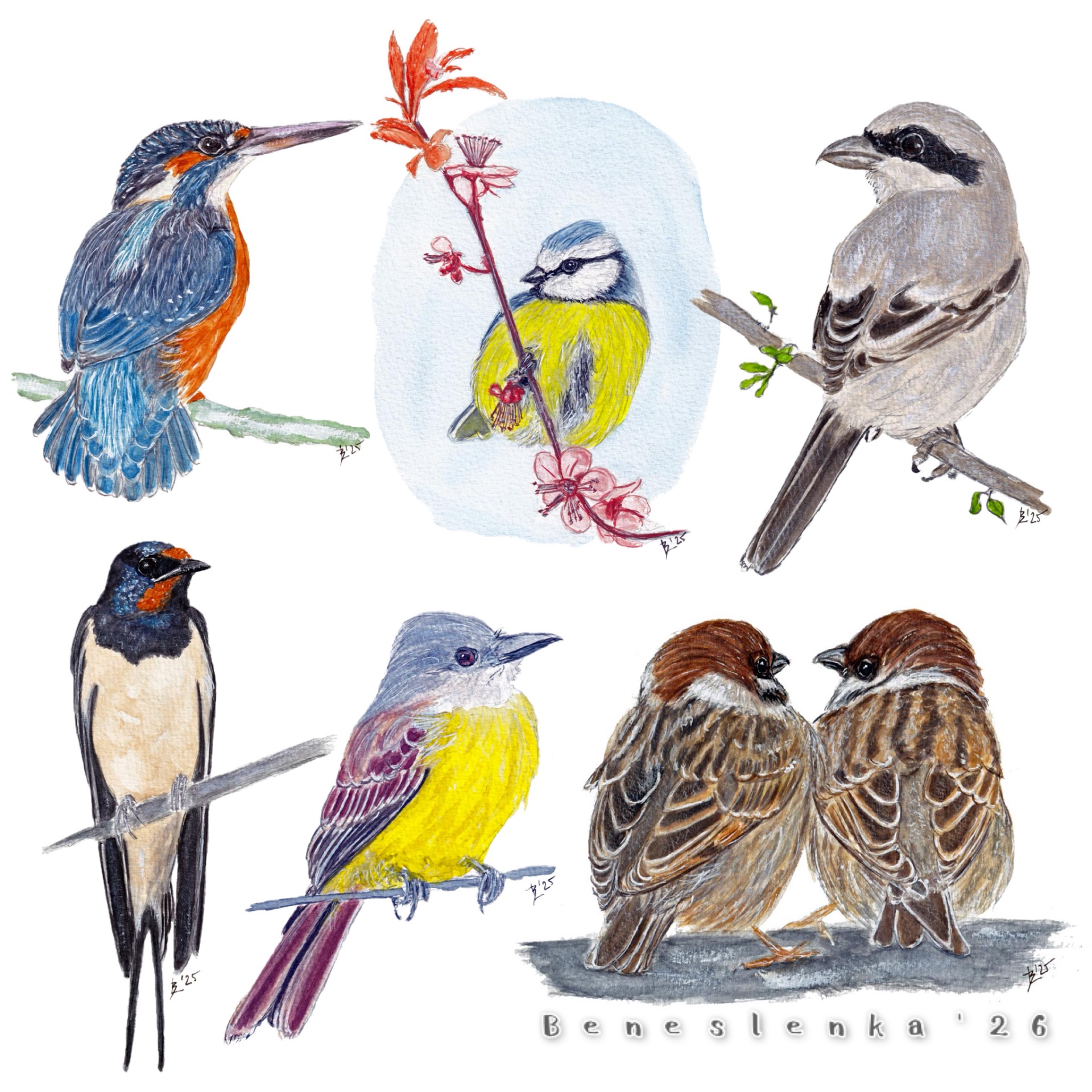 11. páteční report 2026