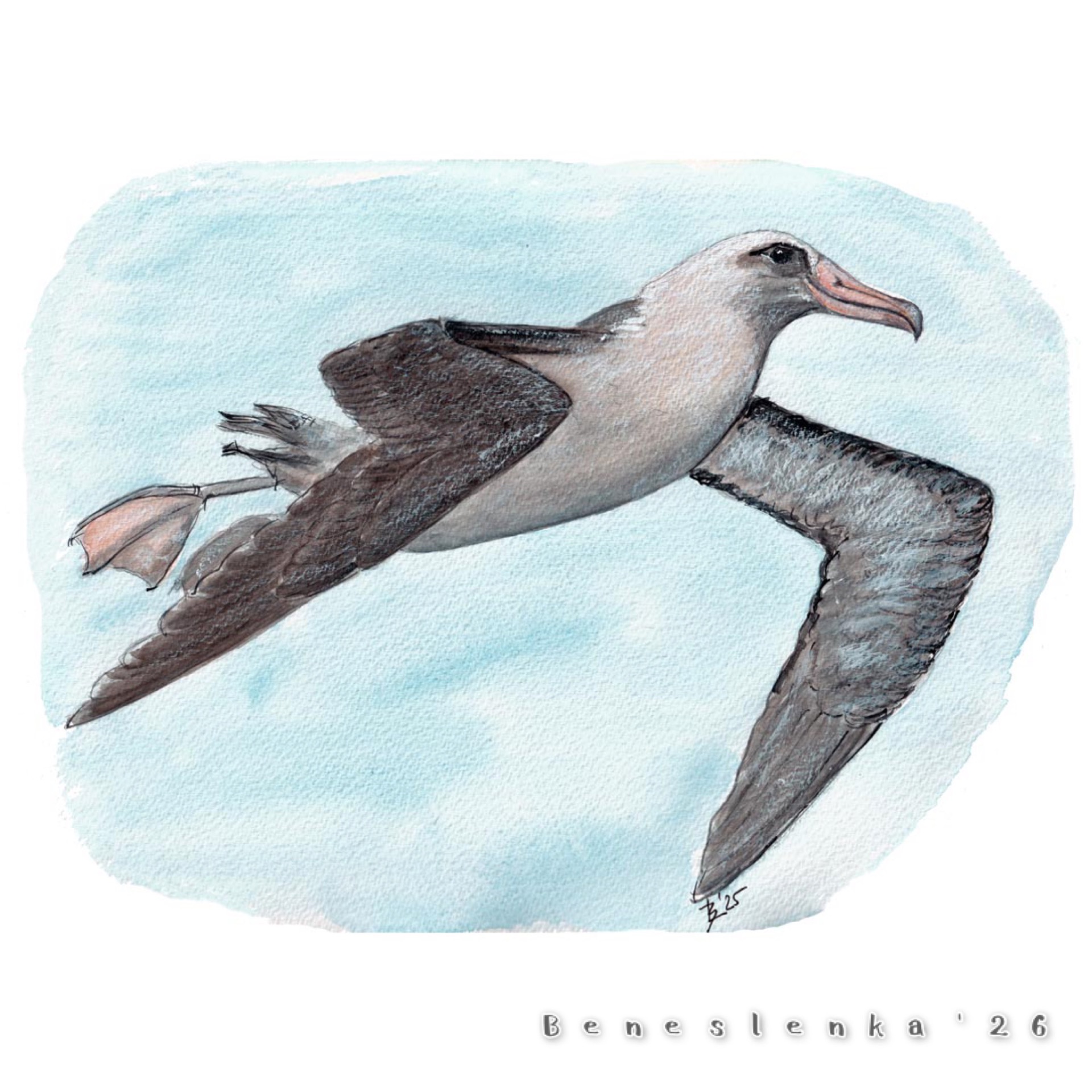 12. páteční report 2026