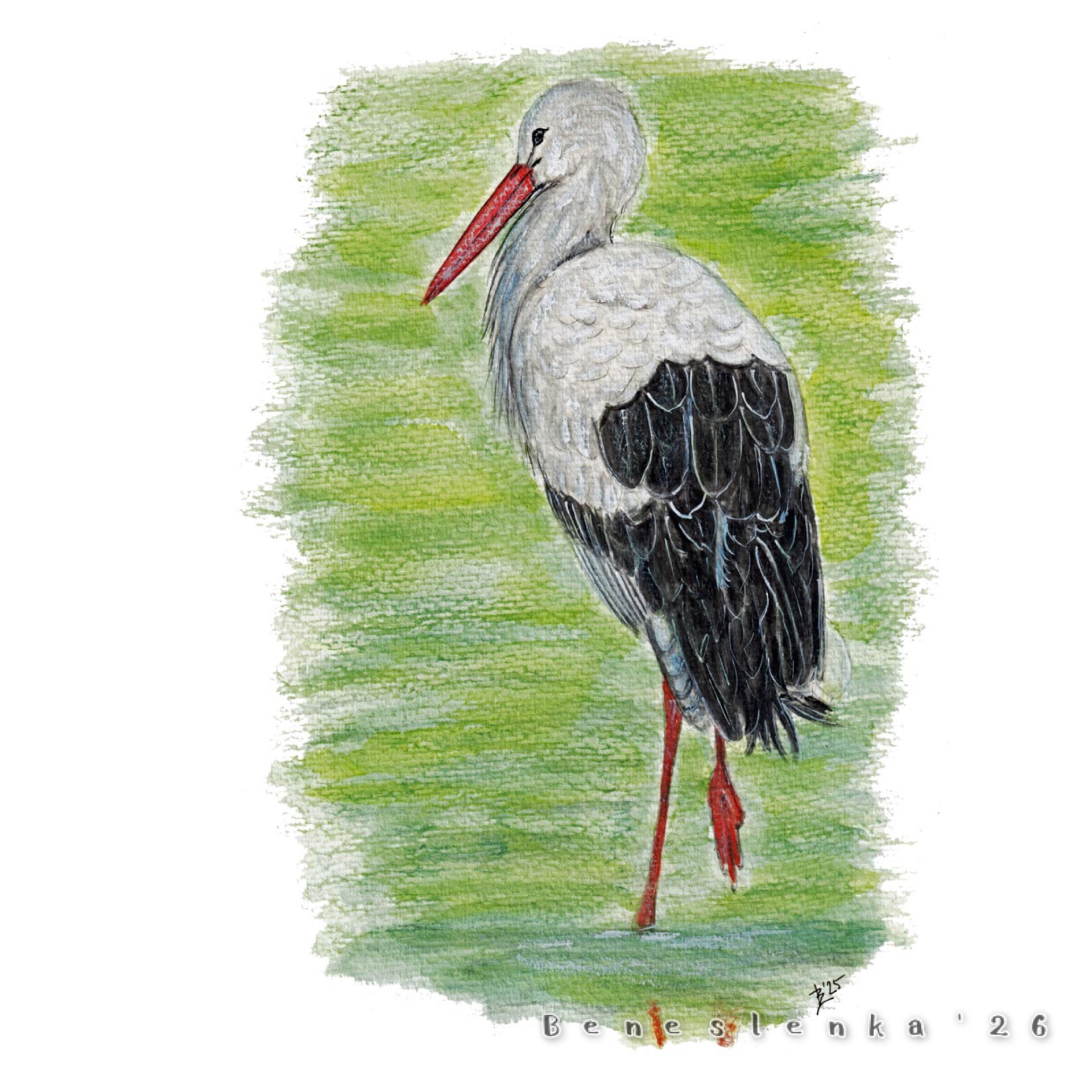 14. páteční report 2026